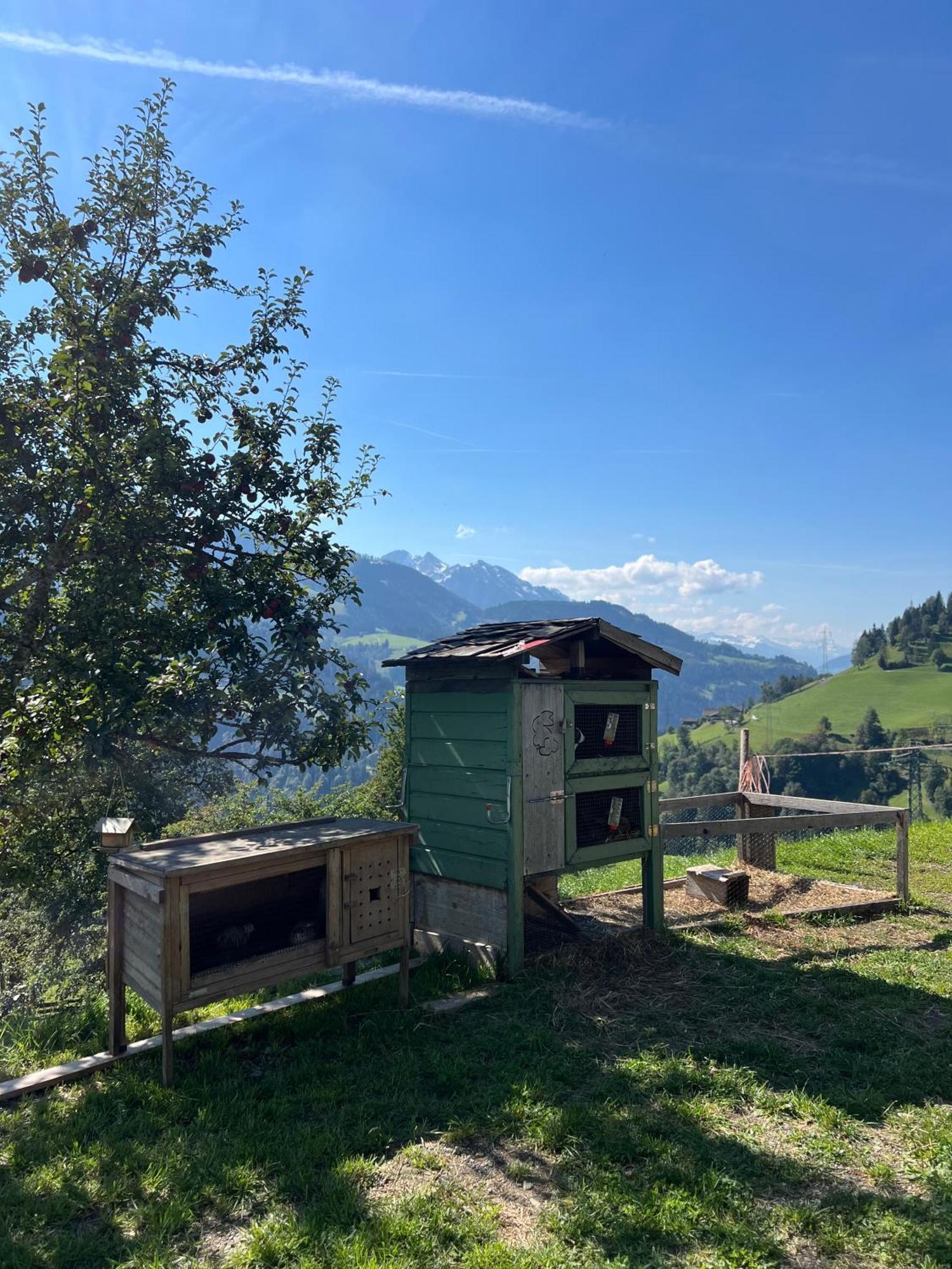 Bio Bauernhof Oberbenk Apartman Wagrain Kültér fotó