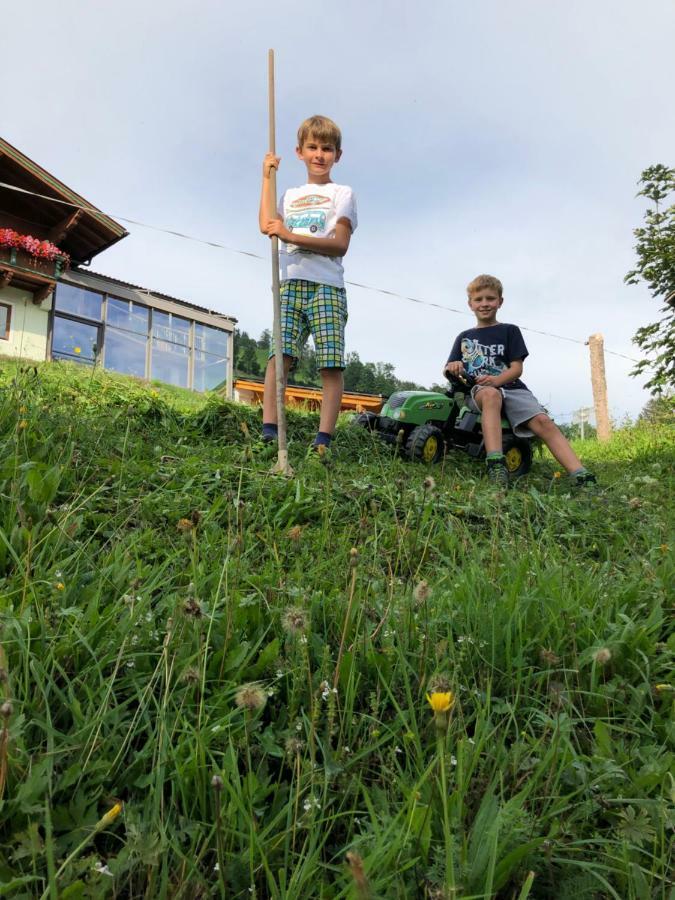 Bio Bauernhof Oberbenk Apartman Wagrain Kültér fotó